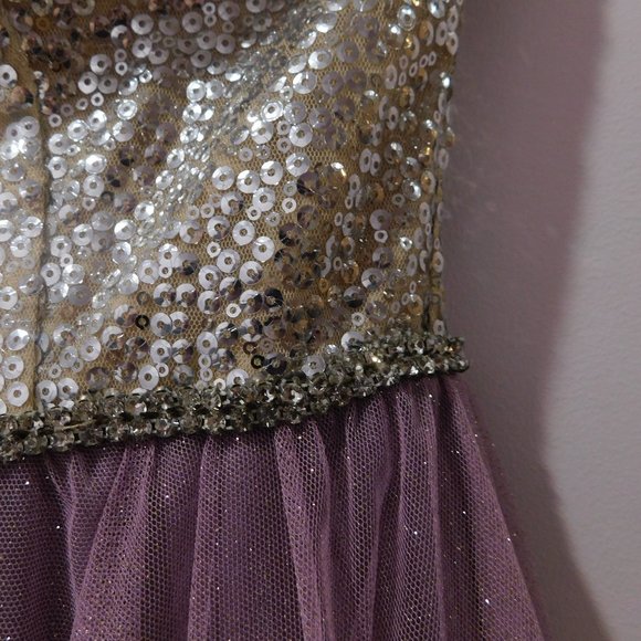 Silver & Purple Sequin / Tulle Formal Dress - Picture 5 of 9